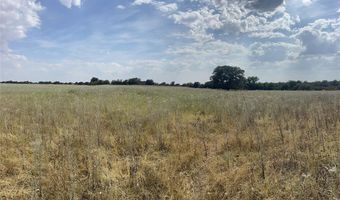 Lot 8 Blue Lacy Lane, Anson, TX 79501