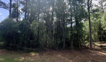 Point Caswell Road lot 16A, Atkinson, NC 28421