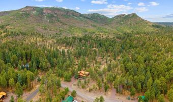 17 County Road 2195, Alpine, AZ 85920