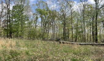 State Hwy N Tract G, Ava, MO 65608