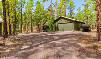 56 Co Rd 2266, Alpine, AZ 85920