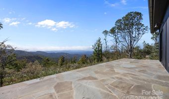 41 Windy Ridge Trl, Asheville, NC 28804