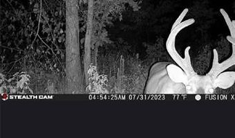 Off Hwy F, Annapolis, MO 63620