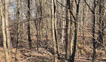 River Oak drive lot 7, Big Sandy, TN 28320