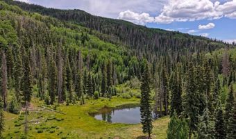 4566 Middle Mountain Rd, Bayfield, CO 81122