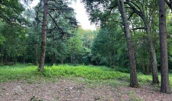 365 Skinner Rd, Austin, AR 72007