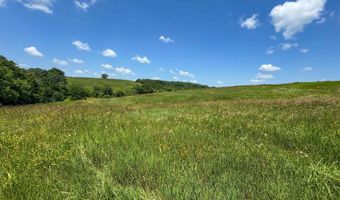 205 Th Trl, Albia, IA 52531