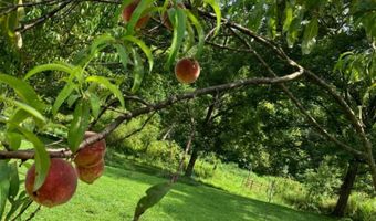 679 New Hope Church Rd, Barbourville, KY 40906