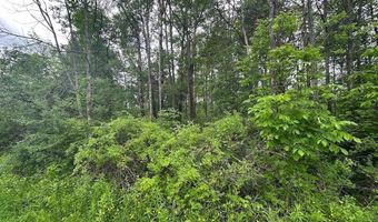 Townline Road, Angelica, NY 14709