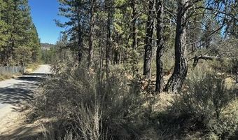 Jaguar Lane lot 3, Bonanza, OR 97623