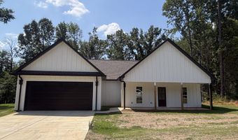 1007 CR 208, Blue Springs, MS 38828