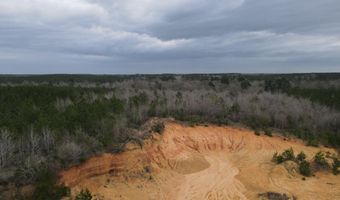 2573 SE Pricedale Dr, Bogue Chitto, MS 39629