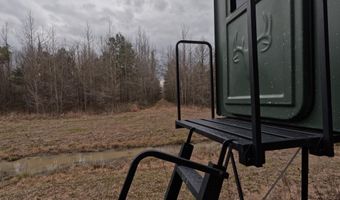 Christian Hts Road, Braxton, MS 39044