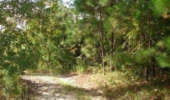 6 Parkers Ferry Rd, Adams Run, SC 29426