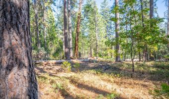 3229 Ponderosa Rd, Arnold, CA 95223