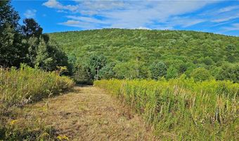 Shaver Hollow, Andes, NY 13731