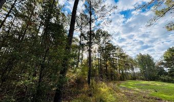 644 Ash-harrel Loop, Abbeville, GA 31001