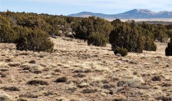 15 County Rd N8641, Concho, AZ 85924