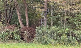 X Miller Gap Road 44 Ac, Ararat, NC 27007