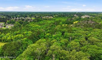 Vine Drive, Brandon, MS 39047