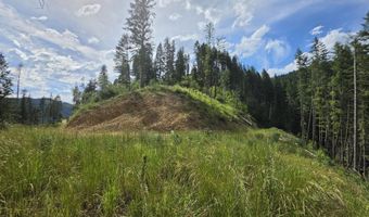 480 Dunn Peak Rd, Avery, ID 83802