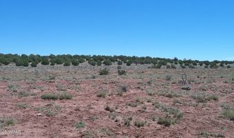 Tbd Rio Ranch, Concho, AZ 85924