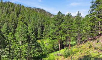Spiritwood Ln, Bellvue, CO 80512