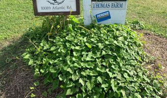 10091 ATLANTIC Rd, Atlantic, VA 23303