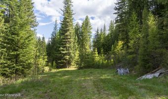 Nna Hugus Creek Road, Calder, ID 83808