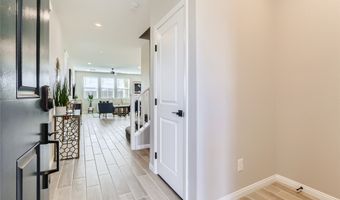 2417 Fasano St, Henderson, NV 89044