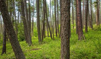 9230 Mt Highway 35, Bigfork, MT 59911