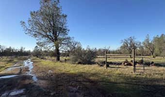 Buffalo Drive, Anderson, CA 96007