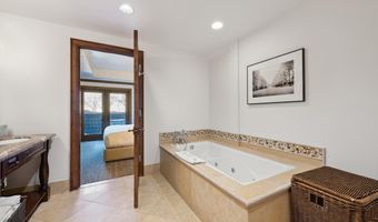 415 E Dean St. Unit 16 Week 9, Aspen, CO 81611