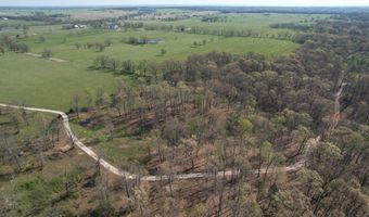 Tract 4 0000 Private Road 1184, Aurora, MO 65605