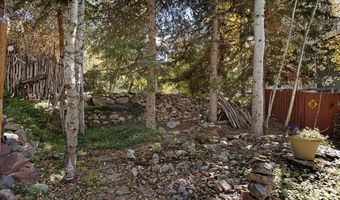 311 Midland Ave, Aspen, CO 81611