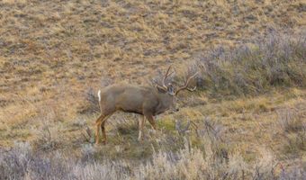 TBD Iron Mountain Rd, Chugwater, WY 82210