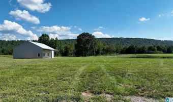 6150 SHOAL CREEK Rd 124+/- Acres, Ashville, AL 35953