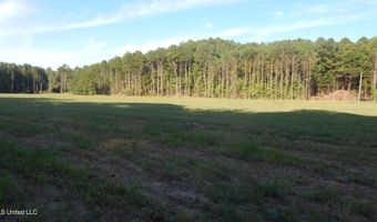 511 247 Country Rd, Bruce, MS 38915