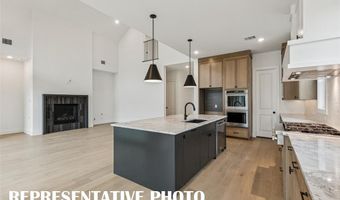 977 Stargrass Dr, Allen, TX 75013