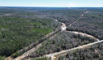 9 Robinsonville Rd, Atmore, AL 36502