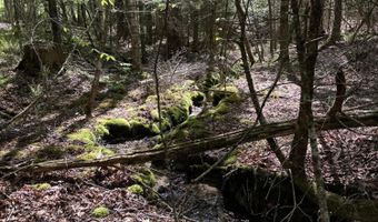 Route 9 lot 13, Aurora, ME 04428