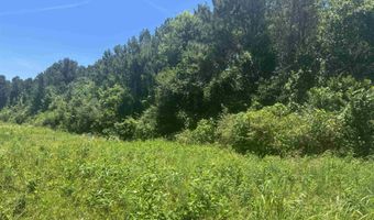 HIGHWAY 431 lot 0, Alexandria, AL 36250