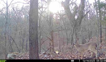 0001 E 1485 Rd, Allen, OK 74825