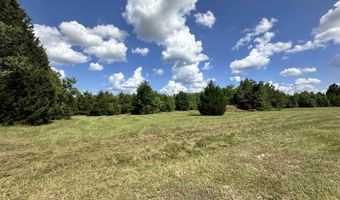 1580 CR 4535, Hillister, TX 77624