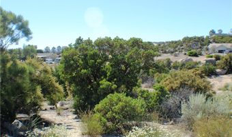 42560 Labrinia Ln, Anza, CA 92539