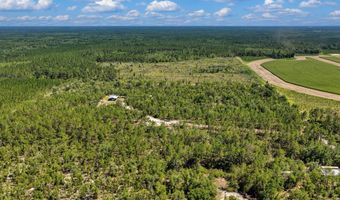 7000 NW 7th Way, Bell, FL 32619