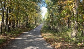 9540 Vincent Ave SE, Alto, MI 49302