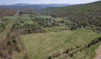 34135 State Highway 28, Andes, NY 13731