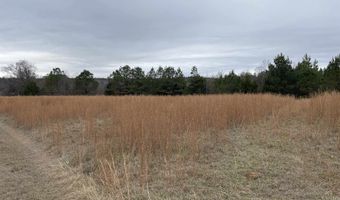 34655 Co Rd 49, Beaverton, AL 35544