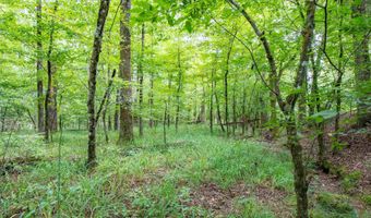 1 Camino Rd, Hot Springs Village, AR 71909